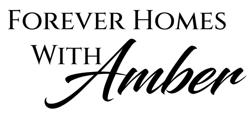 Forever homes with Amber