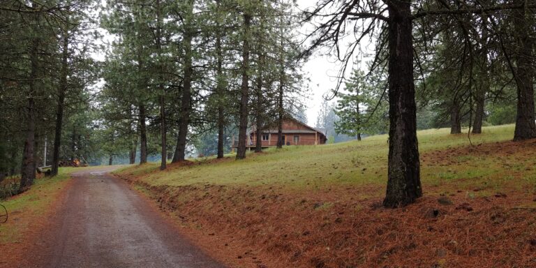House in the forest